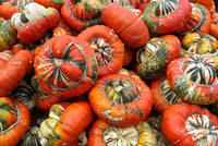 Turk’s Turban – Pumpkin Seed