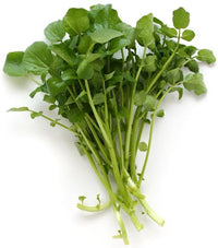 Water Cress