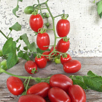 Valentine – Organic Tomato Seed