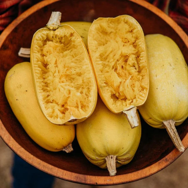 Winter Squash- Vegetable Spaghetti 25g