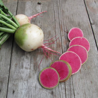 Radish- Watermelon