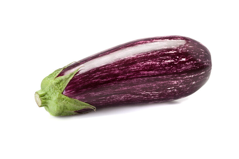 Angela – Eggplant Seed