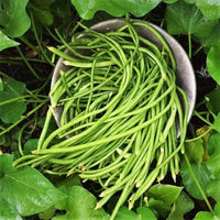 Yard Long Imported Beans Vegetable Seeds