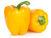 Capsicum- Yellow Bell