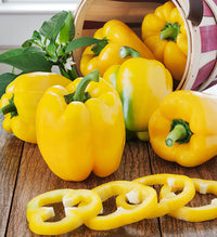 Bellpepper Mini Yellow Imported Vegetable Seeds