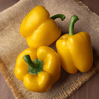 Capsicum- Yellow Bell