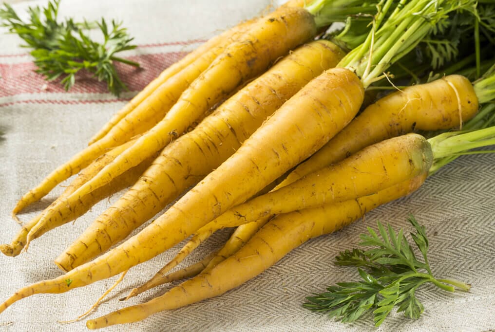 Yellowbunch – Carrot Seed