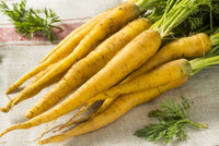 Yellowbunch – Carrot Seed