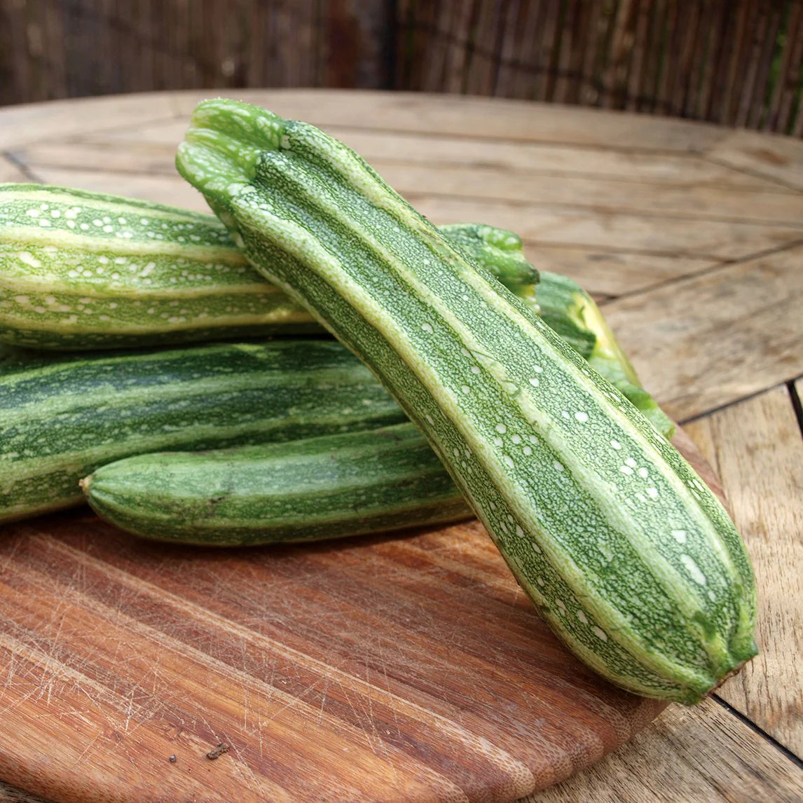 Zucchini- Costata Romanesco